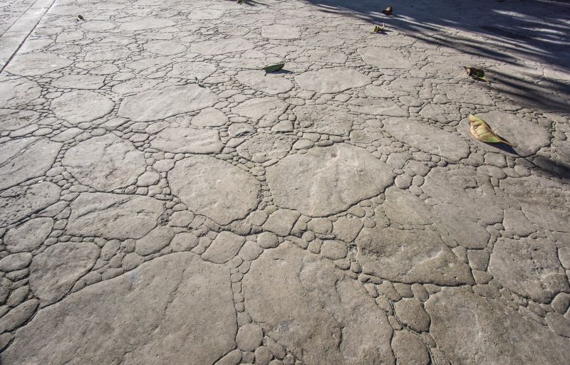 Decorative Concrete Repair in Venice, FL
