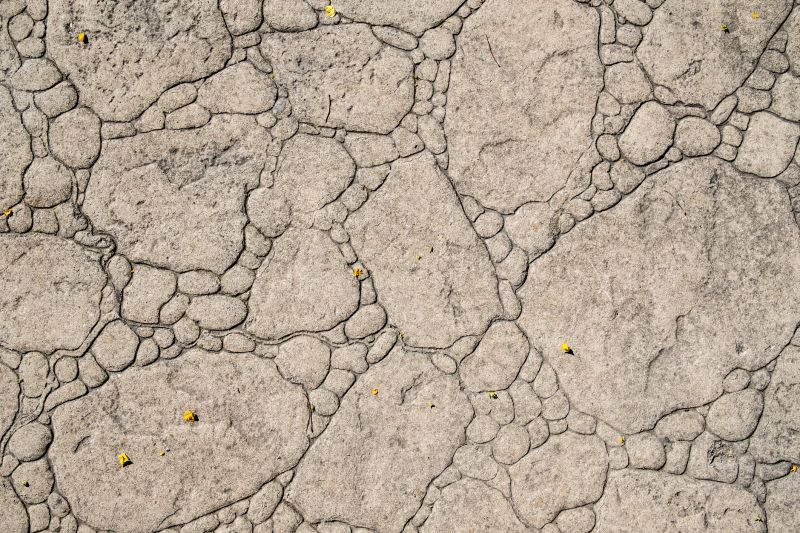 Decorative Concrete Repair in Daytona Beach, FL